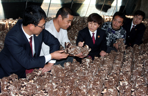 �񻯣������߽�Ģ����