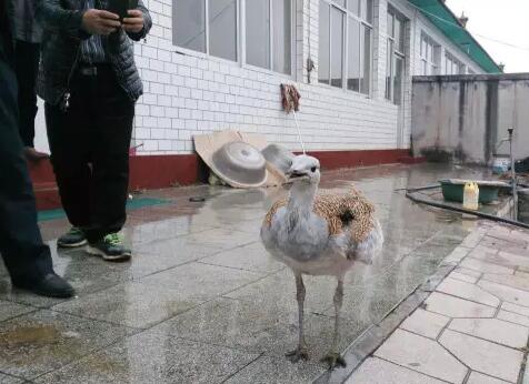 ���կ������������һ������������