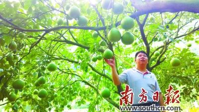 �㶫��ɽ������ٴ�ѧ���ɴ���ġ���ר�ҡ�