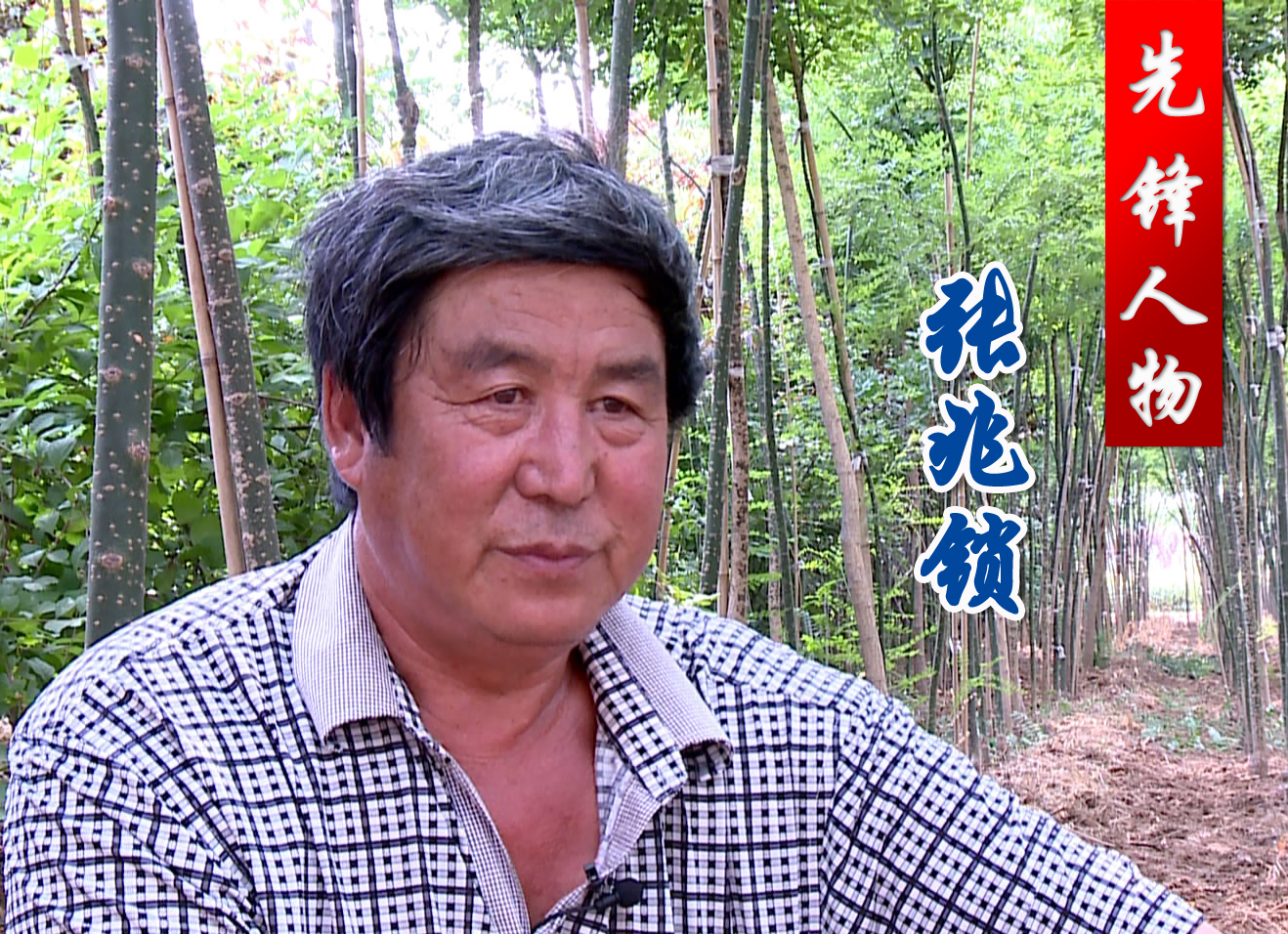 ���ȷ����������