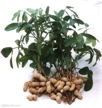 �������л�������